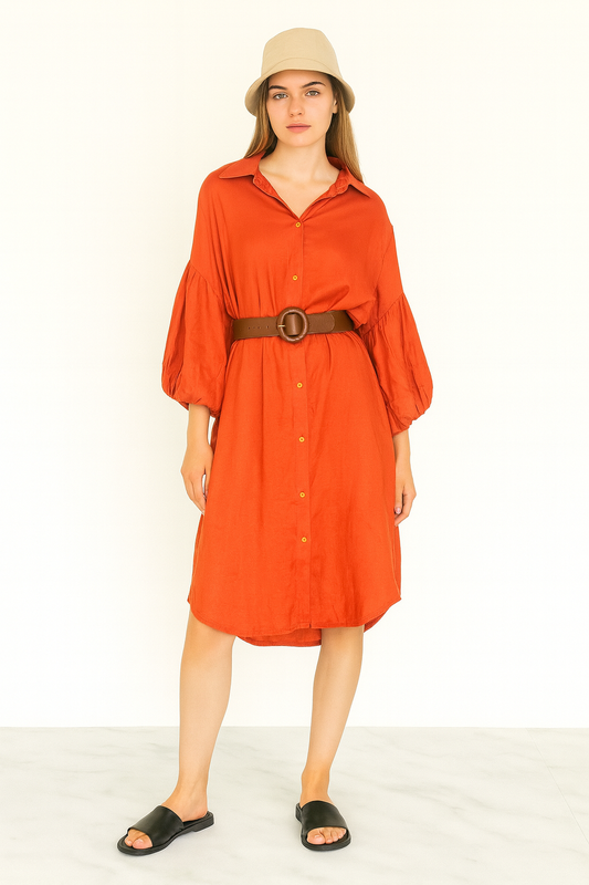 Button-Down Shirt Dress